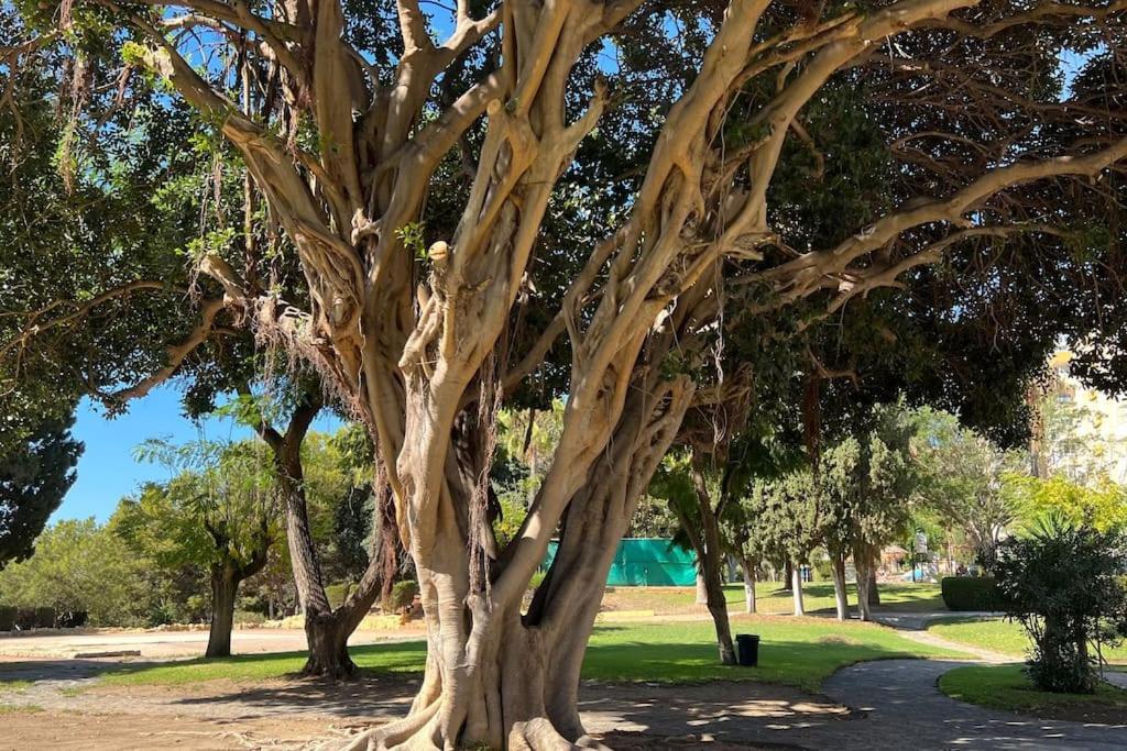 Estudio Aguila Con Vistas Al Mar Benalmádena Kültér fotó